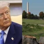 A US judge extends a ban on further tree removal at Trump's historic Washington golf course, where more than 400 trees were cut, and orders advance notice before other irreversible work on the site