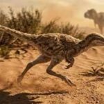 Tiny Dinosaurs: Dinosaurs as small as cats: Meet the tiny dinosaurs that lived in the shadow of giants