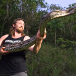 Florida python hunter captures 18-foot invasive python in Puerto Rico after it strangled a pet cat, setting a local live-capture record