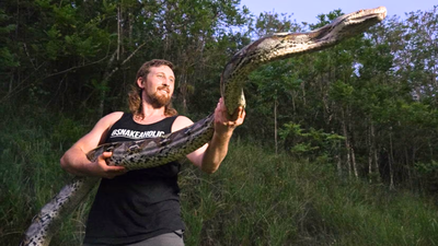 Florida python hunter captures 18-foot invasive python in Puerto Rico after it strangled a pet cat, setting a local live-capture record