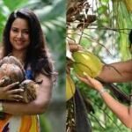 Sameera Reddy Goa Home: Garden inspiration from Sameera Reddy’s Goa home: Coconut palms, a 350-mango tree and a farm-to-table life