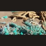 Hawaii turns abandoned fishing nets into electricity to power over 300 homes while fighting ocean pollution and protecting marine wildlife |
