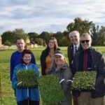 Hundreds of native wildflowers planted at a Norfolk recreation ground to create a meadow for bees, butterflies and other wildlife |