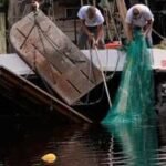 Hurricane Isaias approaches US Gulf Coast, raising storm surge fears