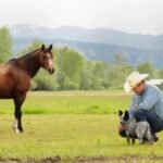 A Colorado ranch homesteaded before statehood stayed with the same family for six generations; more than 150 years later, 650 of its roughly 700 acres were permanently protected from subdivision | World News