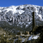 In 1905, a copper discovery created Greenwater, California, a town of 2,000 people; by 1909, the mining boom had collapsed without producing a profit