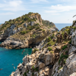 In 2007, black rats were eradicated from Italy’s Zannone island; by 2016, Scopoli’s shearwater breeding pairs had risen from 27 to 80 | World News