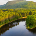 In 2020, conservation partners began securing Maine’s Chadbourne Tree Farm; six years later, more than 27,000 acres of working forest are permanently protected from development. The forest remains open to the public