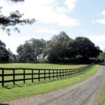Jon Stewart and his wife Tracey paid $4 million for a historic 45-acre New Jersey farm in 2016; the property now grows crops and cares for rescued cows, sheep, goats, pigs and chickens through their sanctuary foundation