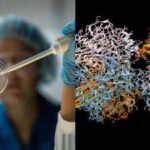 Scientists resurrected 160-million-year-old proteins from extinct mammals; some were stronger against drug-resistant bacteria than modern human versions, raising new hopes for antibiotic research