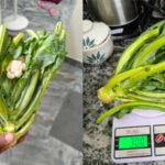 Chennai man orders cauliflower from Zepto, gets mostly greens instead: Internet says 'They forgot to send the Cauli and just sent the flower'
