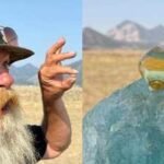 An Arkansas gem hunter found a 6.03-carat yellow diamond after paying $15 to search a state park; he says it could be worth $1 million, but another appraisal puts it closer to $250,000