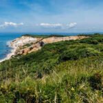 Martha's Vineyard rejected a 54-acre subdivision with 26 below-market lots and 19 luxury homes after seven marathon meetings, leaving land bought for $6.6 million in 2017 undeveloped for now