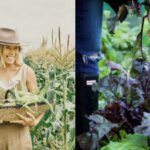 At 21, an Australian waitress quit with $100 and cooked meals for 10 gym friends from a Bondi apartment; the side hustle later reached $5 million in revenue and built a 100-acre farm
