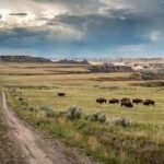 Montana conservation group bought 70,000-acre ranch once owned by Texas billionaires, expanding planned nature preserve beyond half a million acres