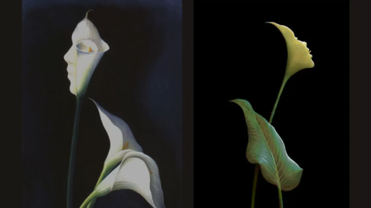What you see first reveals if you are sensitive or superficial