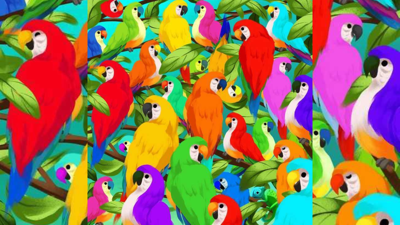 You have an eagle-eye if you can spot a chameleon within 7 seconds of seeing the image!