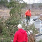 Nebraska workers cut 150 trees from crowded lake banks and sank them at 16 underwater locations; the September 2026 project is building shelter for young fish in two lakes without using concrete reefs