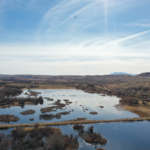 New Mexico researchers use drone images to train AI to count ducks, geese and cranes; early tests show 95% detection accuracy |
