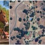 When Noah Wyle bought his 80-acre Santa Ynez, California, ranch in 1999 for nearly $2.5 million, he was too young and inexperienced to maintain it; today, The Pitt star and Sexiest Man Alive calls it his sanctuary