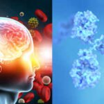 Northwestern scientists studying proteins linked to Alzheimer's found a single spot that helps harmful tau clumps spread; blocking that hotspot with a chemical tag stopped the clumps from growing in lab tests