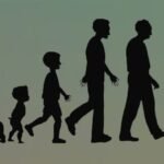Could humans live up to 194 years? Scientists find a possible biological limit