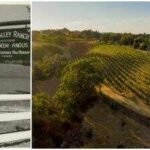 Fred MacMurray raised cattle on his 1,750-acre California ranch; part of it, the 52-acre Flax Estate and Vineyard, now owned by Jeffrey Ubben and Laurie Ubben, lists for $22 million after their $21 million purchase in 2016