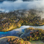 In 2004, Kris Tompkins’ conservation organisation acquired a 174,500-acre Chilean ranch and began restoring its grasslands and wildlife; in 2018 the ranch became part of a national park within a wider conservation effort that has helped protect nearly 15 million acres