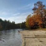 In 1902, Pennsylvania began buying nearly treeless, fire-damaged land for just 18 cents to $2 an acre; decades of replanting added more than a million trees and helped build Promised Land State Park