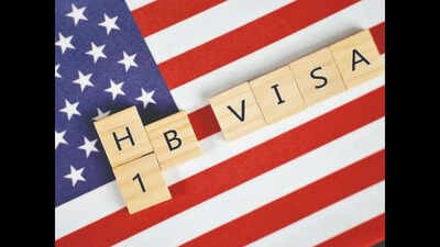 'Unfortunately, the H-1B program has become...': Republican lawmaker from Georgia writes to Trump administration, says his own district is a visa abuse hotspot