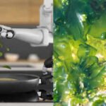 Dutch scientists built a tiny robotic arm using living algae and two layers of gel; controlled by light, the two-centimetre strip grasped a metal ball and lifted a rubber ring underwater without a conventional motor