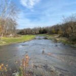In 2019, New Jersey completed the removal of the old Columbia Dam and reopened about 14 km of river; a 2026 study found juvenile eels, sea lampreys and American shad upstream after years of monitoring