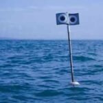 Scientists put a floating ‘scarecrow’ beside fishing nets; the device cut seabird bycatch by 59%, while a kite cut it by 71% |