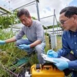 Scientists ran a 12-year grassland experiment in Oklahoma and found that warming cut soil carbon by 12.2% under drought but raised it by 6.7% in wet conditions |