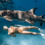 Scientists surveyed people who went on shark tours in Hawaii and found they were 40% more likely to engage in shark conservation than they would have been without the experience
