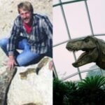 In 1987, an amateur fossil hunter found a T. rex in South Dakota; the $31.8 million skeleton now stands in Abu Dhabi