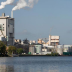 After more than 50 years of pulp-mill pollution, regulators have proposed restoring North Carolina's Roanoke River, including contaminated floodplain habitat damaged by toxic discharges