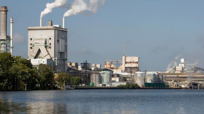 After more than 50 years of pulp-mill pollution, regulators have proposed restoring North Carolina's Roanoke River, including contaminated floodplain habitat damaged by toxic discharges