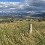 In Colorado, a family spent more than 60 years assembling a working ranch; after it was once listed for $100 million, Susan Nottingham has now permanently protected 18,484 acres and their historic water rights