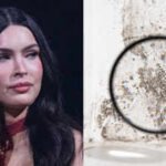 In 2016, Megan Fox bought a $3.3 million Malibu home, then sued for $5 million over alleged mold and other defects; after a three-year court fight, she reportedly accepted a $100,000 settlement in 2021