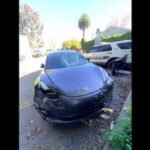 Drunk driver Ishan Pandhare mowed down two California Polytechnic State University students, left them like 'garbage in the roadway', alleges lawsuit