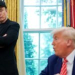 'He put it back': Trump says Ukraine's Starlink access restored, stays silent on Musk