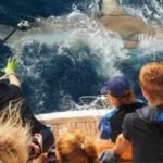 Two sisters turned their childhood love of the ocean into a 65-foot research yacht; students now tag sharks and study plankton alongside marine scientists |