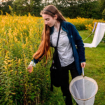 Meet Violet Clinton: 16-year-old New York student who tracked 11,377 moths in seven months using UV lights and beer-soaked T-shirts to study overlooked pollinators |