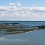 University of Georgia secures $8 million NOAA grant to plan restoration of 326 acres of salt marsh across four states using dredged sediment