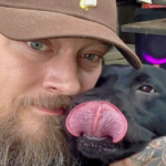 Wyoming Army veteran fought a mountain lion bare-handed for 20 seconds to save his dog; said cat ‘put me right down’ | World News