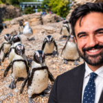 Zohran Mamdani announces $2 million investment in New York Aquarium renovation; money will support upgrades to Sea Cliffs exhibit housing seals, sea otters and sea lions | World News
